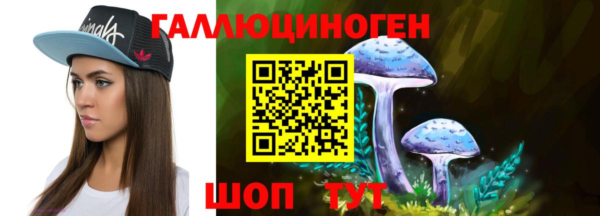 Галлюциногенные грибы Psilocybe  Галлюциногенные грибы MAGIC MUSHROOMS  Кузнецк  Вход с VPN 